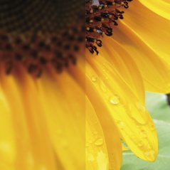 Celosklenené posuvné dvere číre sklo