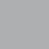 RAL 9006 mat