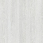 Javor šedý PREMIUM