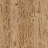 Enduro - Dub podzimní (B706)